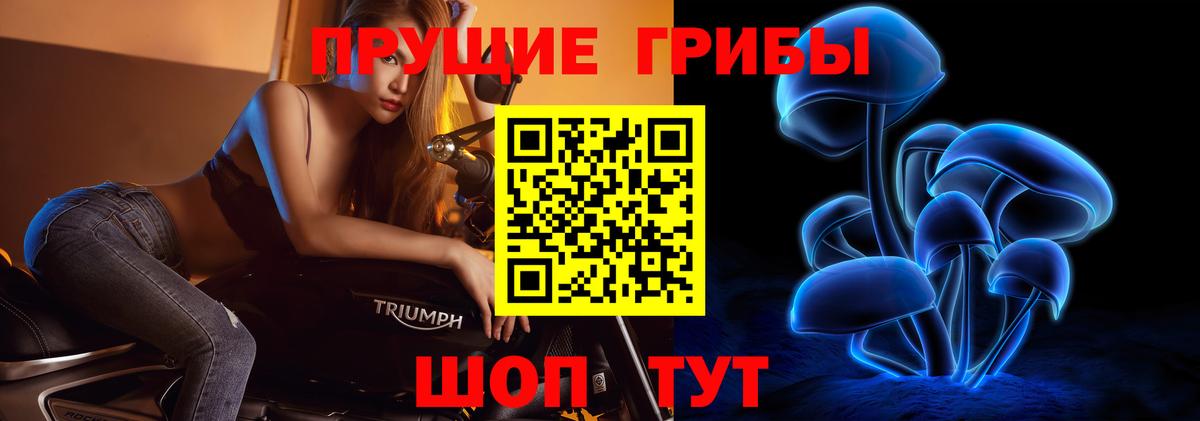 Галлюциногенные грибы ЛСД  цена   Ржев  Вход с VPN  Псилоцибиновые грибы GOLDEN TEACHER 